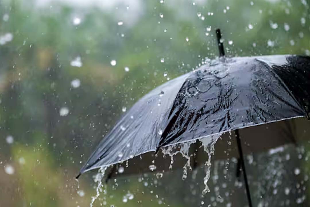 The Meteorological Department issued an alert regarding rain in Punjab