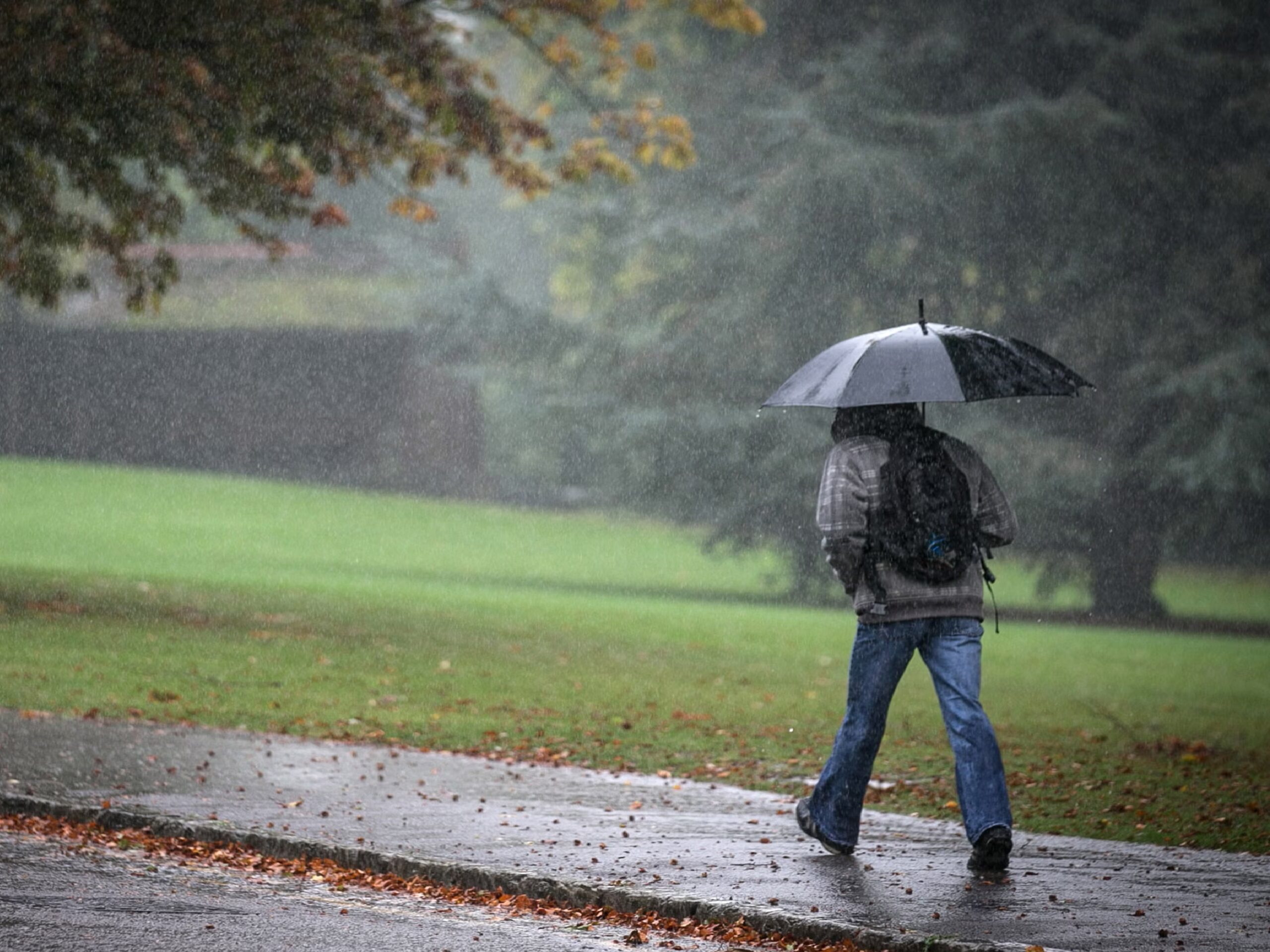 The Meteorological Department issued an alert regarding rain in Punjab