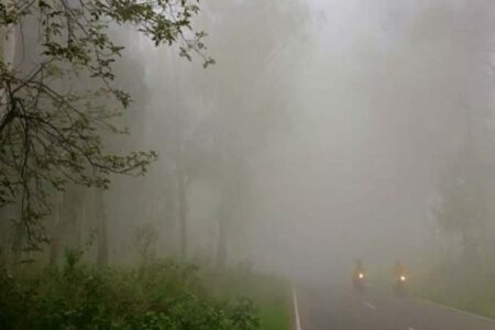 First glimpse of fog in Punjab