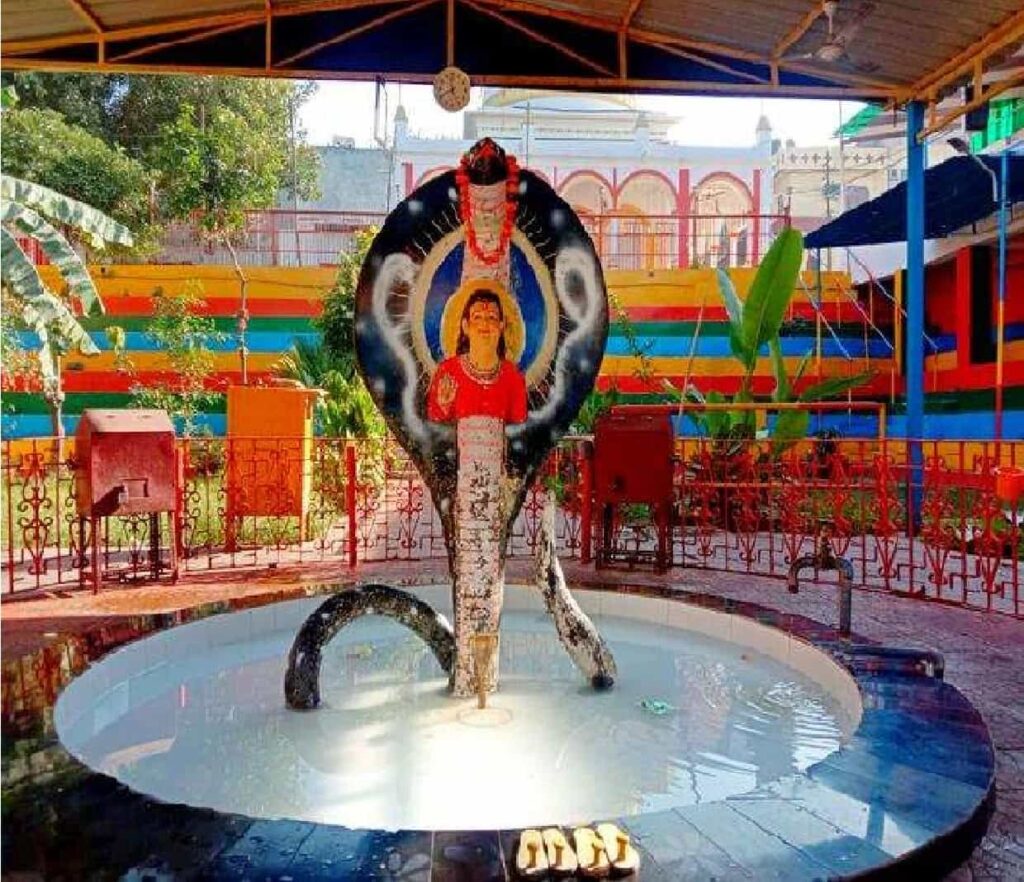Jalandhar में बंद रहेगी ये काने, जारी हुए ये आदेश