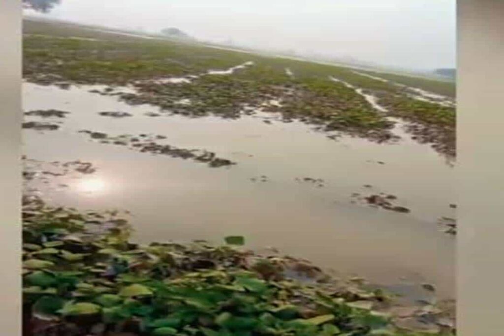 Water filled in areas of Punjab: पंजाब के ये इलाके डूबने के कगार में, मची हाहाकार
