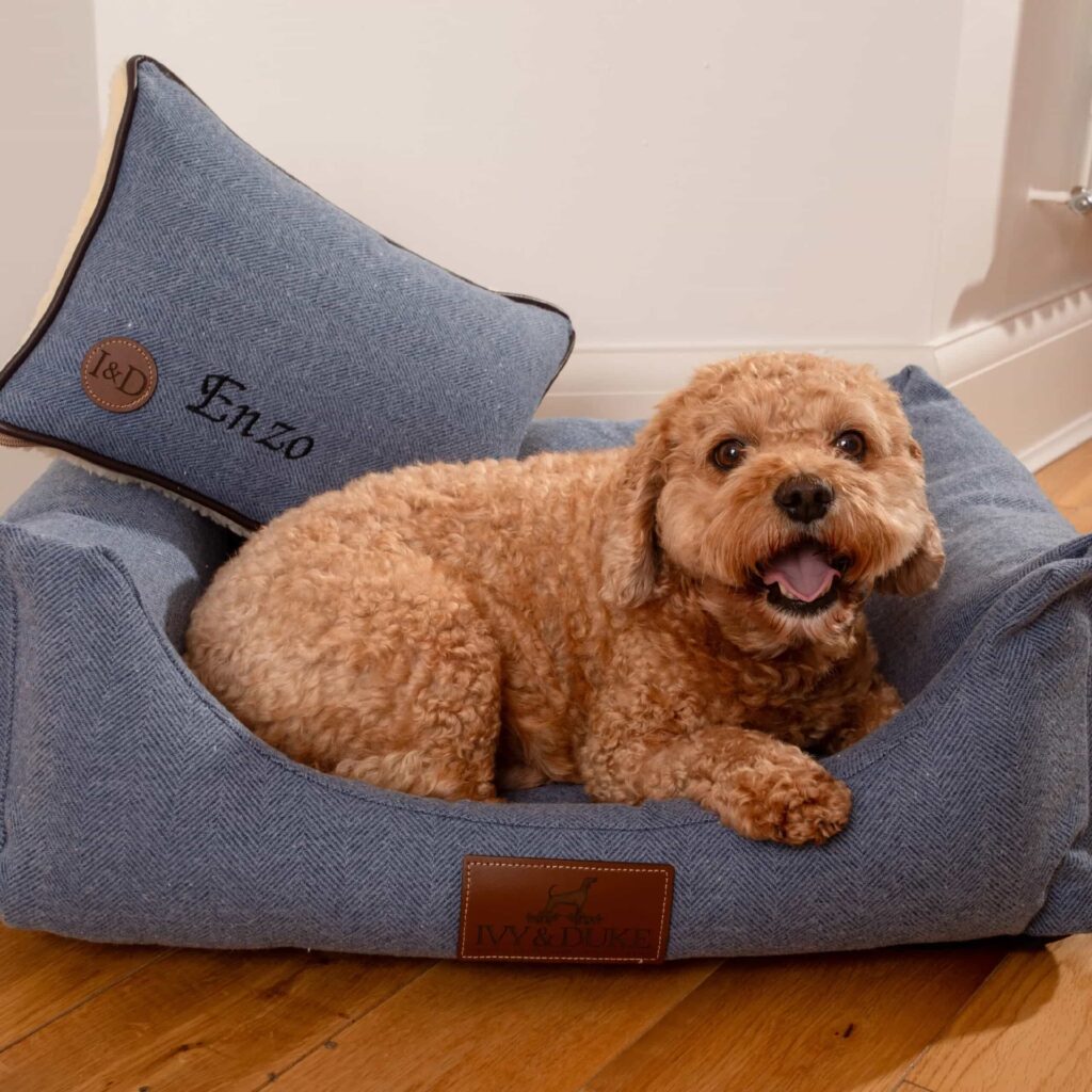 कुत्तो के भोकने से चोर-चोरी करने में रहे असफल, तो पिल्लो के काटे सिर