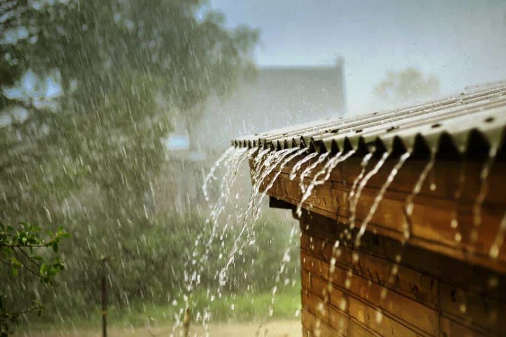 Weather Update: पंजाब में फिर मानसून सक्रिय, जानें हिमाचल और दिल्ली के मौसम का हाल