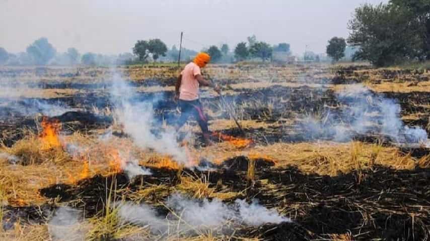 Punjab: लगातार बढ़ रहे पराली जलाने के मामले, प्रदूषण बोर्ड ने लिया ये फैसला