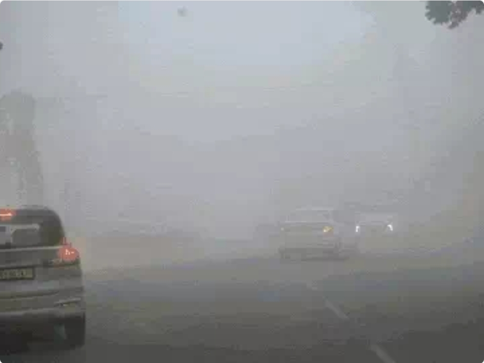 घने कोहरे से हवाई यातायात ठप: अमृतसर–चंडीगढ़ एयरपोर्ट पर उड़ानों पर असर